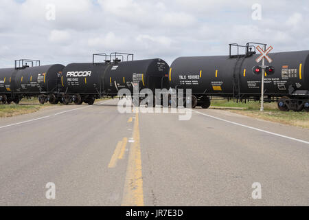 Eastend, Saskatchewan, Canada. 26 Ago, 2016. Vetture di navi cisterna che trasportano molton zolfo e petrolio greggio su Great Western Railway treno merci velocità attraverso un passaggio a livello vicino Eastend, Saskatchewan. La breve linea ferroviaria opera nel sud-ovest del Saskatchewan sulle vie una volta di proprietà di Canadian Pacific Railway. Credito: Bayne Stanley/ZUMA filo/Alamy Live News Foto Stock