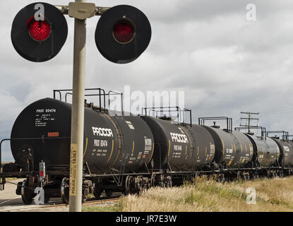 Shaunavon, Saskatchewan, Canada. 26 Ago, 2016. Vetture di navi cisterna che trasportano molton zolfo e petrolio greggio su Great Western Railway treno merci velocità attraverso un passaggio a livello vicino Saunavon, Saskatchewan. La breve linea ferroviaria opera nel sud-ovest del Saskatchewan sulle vie una volta di proprietà di Canadian Pacific Railway. Credito: Bayne Stanley/ZUMA filo/Alamy Live News Foto Stock