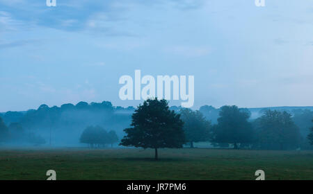 Luce della Sera cade su campi in Cumbria, Regno Unito Foto Stock