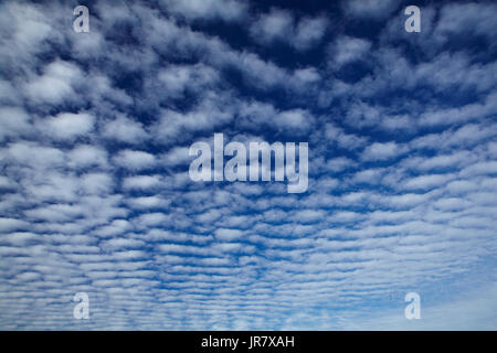 Autocumulus undulatus nuvole di Central Otago, Isola del Sud, Nuova Zelanda Foto Stock
