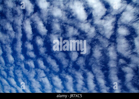 Autocumulus undulatus nuvole di Central Otago, Isola del Sud, Nuova Zelanda Foto Stock