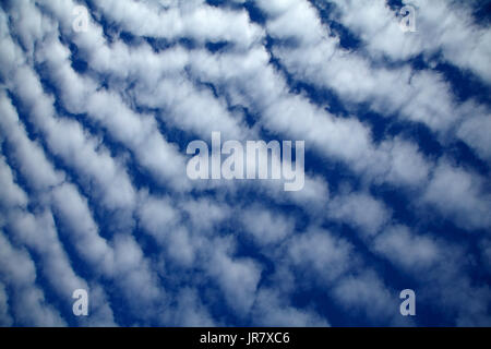 Autocumulus undulatus nuvole di Central Otago, Isola del Sud, Nuova Zelanda Foto Stock