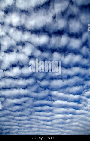 Autocumulus undulatus nuvole di Central Otago, Isola del Sud, Nuova Zelanda Foto Stock