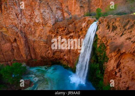 Mooney Falls Foto Stock