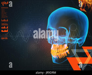 3D render human x ray cranio su sfondo nero Foto Stock