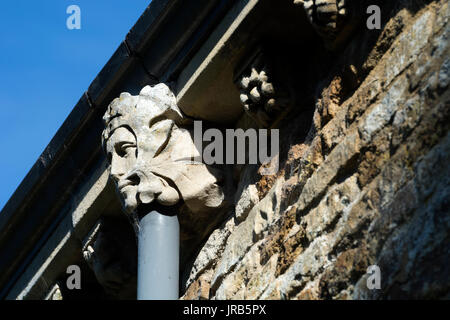 Green Man gargoyle, St. Denys Chiesa, Kelmarsh, Northamptonshire, England, Regno Unito Foto Stock