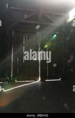 Sun flares proveniente attraverso le finestre e le porte di una delle caserme in Auschwitz Birkenau Campo di Concentramento, Oswiecim Brzezinka, Polonia Foto Stock