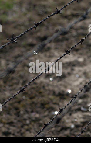 Close up di elettrico del filo spinato nell'ex campo di concentramento nazista DI AUSCHWITZ-BIRKENAU, oswiecim brzezinka, Polonia Foto Stock