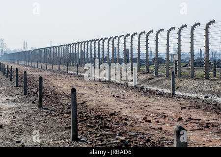 Elettrico filo spinato recinzioni in ex campo di concentramento nazista di Auschwitz Birkenau destinata a separare le diverse parti del campo e sicuro Foto Stock