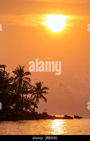 Palme silhouette al tramonto, Thailandia Foto Stock