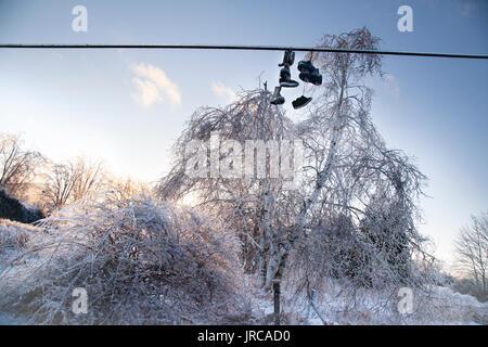 Dopo una tempesta di ghiaccio, alberi e scarpe su una linea sono coperti di ghiaccio che mostra un bagliore soleggiato. Le scarpe e stivali hanno ghiaccioli si formano. Foto Stock