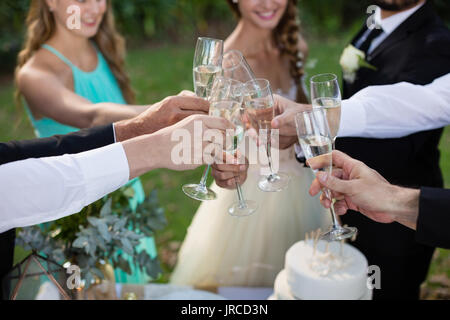 Gli sposi e gli ospiti la tostatura calici di champagne in posizione di parcheggio Foto Stock