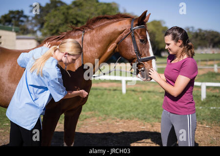 Vet femmina con donna cavallo di controllo mentre si sta in piedi sul campo Foto Stock