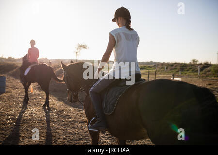 Fantini femmina di equitazione al granaio Foto Stock