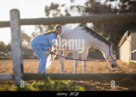 Ritratto di veterinario femmina esaminando cavallo mentre si sta in piedi sul campo Foto Stock