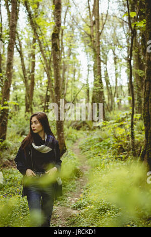 Donna escursioni in campagna a forest Foto Stock