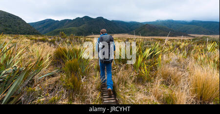 Escursionista sul sentiero escursionistico attraverso il paesaggio di palude, Pouakai circuito, Egmont National Park, Taranaki, Isola del nord, Nuova Zelanda Foto Stock