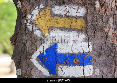 Due frecce dipinte su albero Foto Stock