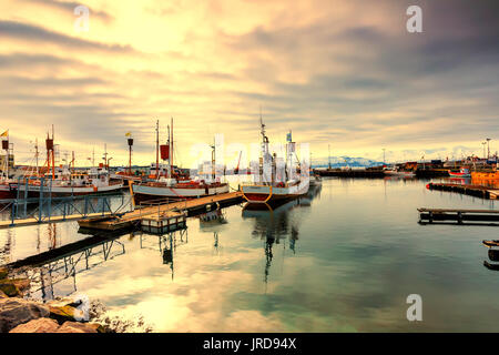 Husavik, Islanda - 29 Marzo 2017: Tradizionale whale watching barche giacenti nel porto di Husavik in golden luce della sera al tramonto , costa settentrionale Foto Stock