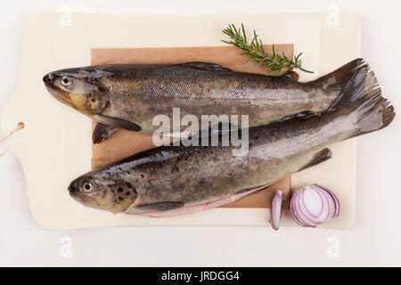 Crudo fresco di trote iridee sul tagliere con la cipolla e il rosmarino vista dall'alto. Prelibatezze a base di pesce fresco di mangiare. Foto Stock