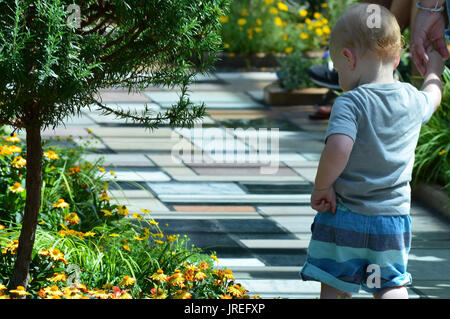 Il toddler boy a passeggiare nel giardino Foto Stock