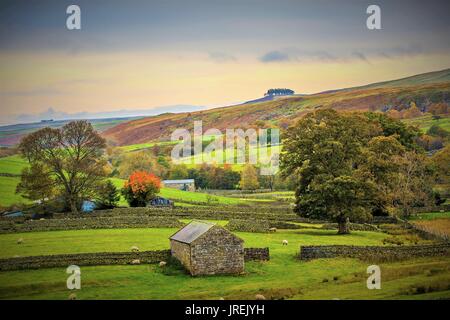 Vista di Kirk Carrion da Holwick. Foto Stock