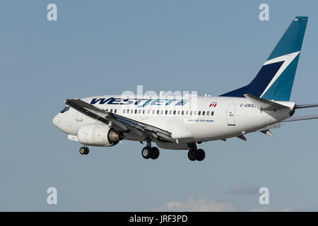 Calgary, Alberta, Canada. 24 Ago, 2016. Un WestJet Airlines Boeing 737 (C-GWSJ) corpo stretto a corridoio unico aereo jet atterra all'Aeroporto Internazionale di Calgary. Credito: Bayne Stanley/ZUMA filo/Alamy Live News Foto Stock