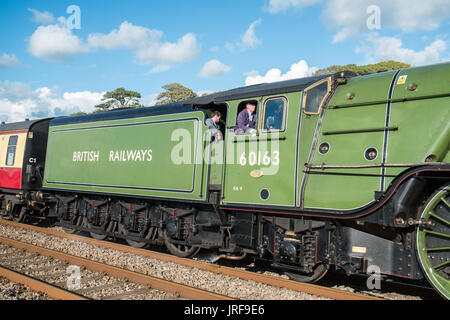 Spiaggia di Ferryside, Wales, Regno Unito. 05 Ago, 2017. Un'escursione in treno trainato da locomotiva a vapore "Tornado' Pacific 60163 passando al di sopra di Ferryside Beach,Carmarmarthenshire,Wales, Regno Unito,l'Europa. Viaggio organizzato da Pathfinder Tours. Questo 'Towy Tornado' viaggio/tour è stata da Bristol lungo South Wales coast e Towy Estuary, dove la fotografia è stata scattata. Fino a città mercato di Carmarthen,prima di ritornare a Bristol più tardi nel pomeriggio.Sul suo ritorno da Carmarthen a Bristol. Credito: Paolo Quayle/Alamy Live News Foto Stock