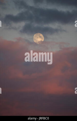 Redfold vigneto nel Sussex, Regno Unito. 5 agosto 2017. Il sole tramonta come la luna sorge sopra il vigneto Redfold e il South Downs del Sussex. Credito: Guy Bell/Alamy Live News Foto Stock