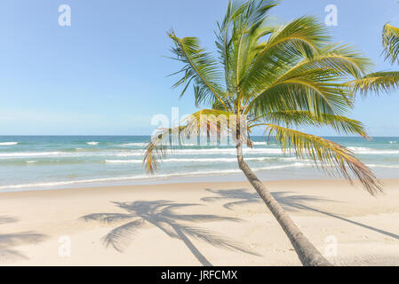 Spettacolare e suggestiva spiaggia paradiso in Itacare Bahia Brasile nord-est Foto Stock