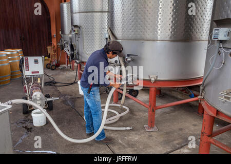 Cantina lavoratore, di pompaggio vino, area di fermentazione, Barnet vigneti, Spring Mountain Road, Saint Helena, la Valle di Napa NAPA County, California Foto Stock