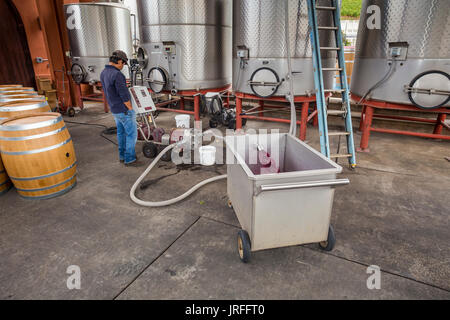 Cantina lavoratore, di pompaggio vino, area di fermentazione, Barnet vigneti, Spring Mountain Road, Saint Helena, la Valle di Napa NAPA County, California Foto Stock