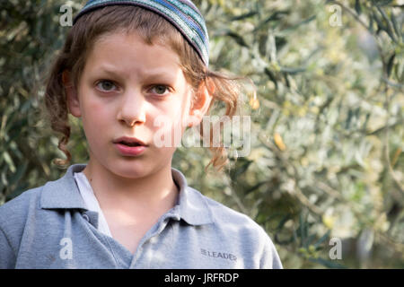 I giovani israeliani bambino dei coloni di Hebron, Palestina osserva un alterco tra coloni e palestinesi Foto Stock