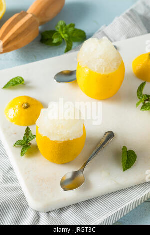 In casa limone giallo italiano di ghiaccio in una di limoni Foto Stock