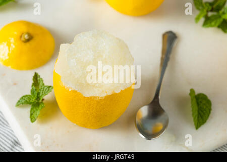 In casa limone giallo italiano di ghiaccio in una di limoni Foto Stock