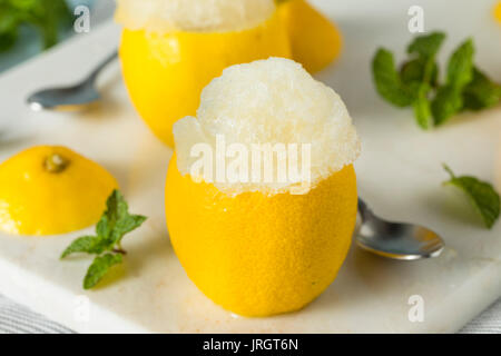 In casa limone giallo italiano di ghiaccio in una di limoni Foto Stock