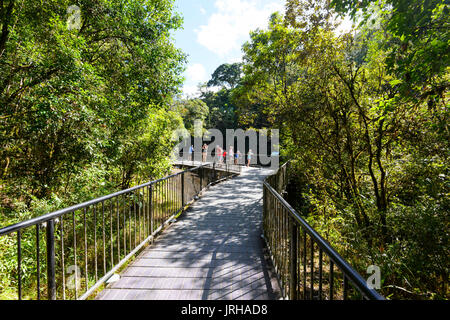 Persone in piedi su un belvedere sopra il fiume Mossman Gorge, Parco Nazionale Daintree, estremo Nord Queensland, FNQ, QLD, Australia Foto Stock