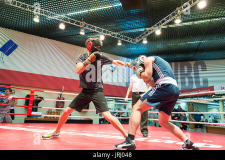 Boxing training allenamento Foto Stock