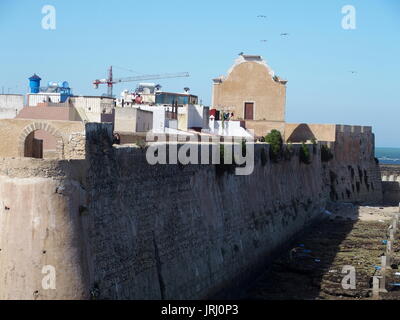 Fortezza di Mazagan paesaggio cittadino con l'arabo antica fortificazione pareti Citadel si trova in Marocco in Africa con il cielo blu e chiaro nel 2016 giornata calda. Foto Stock