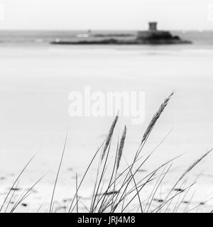 Immagine in bianco e nero di erbe in dune di sabbia a St Ouens Bay con la torre di Rocco in background, Jersey, Isole del Canale Foto Stock