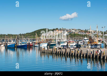 Coffs harbour marina visto da Montone Bird Island, Coffs Harbour, NSW, Australia. Foto Stock