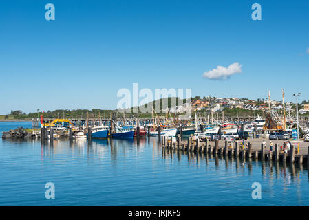 Coffs harbour marina visto da Montone Bird Island, Coffs Harbour, NSW, Australia. Foto Stock