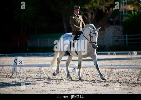 Rider competere nel concorso dressage classic, Montenmedio, Cadiz, Spagna Foto Stock