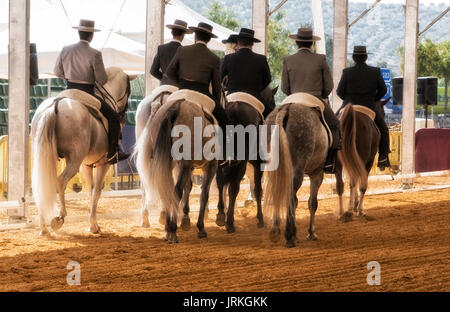 Il gruppo di cavalieri montati sulle loro spalle dopo il dressage mostra in denim Andujar, Provincia di Jaen, Andalusia, Spagna Foto Stock
