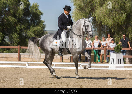 Montenmedio, la provincia di Cadiz Cadice, Spagna - 12 luglio 2009: Spagnolo cavallo di razza in competizione nel concorso dressage classic, Montenmedio, la provincia di Cadiz Cadice, eun Foto Stock