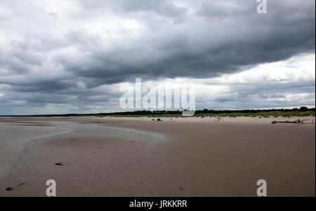 Culbin Sands, Nairn, Scozia Foto Stock