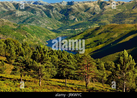 Vista del paesaggio con montagne, colline verdi e un barrage surroundet da alberi di pino Foto Stock