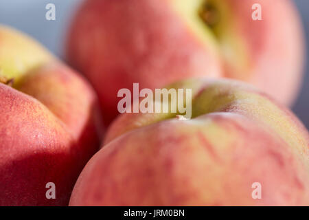 Fresche pesche gialle da Chester County, Pennsylvania, STATI UNITI D'AMERICA Foto Stock