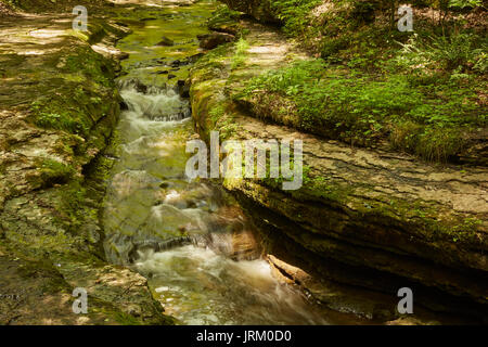 Scivoloso Rock Creek, McConnell mulino del parco statale, Pennsylvania, STATI UNITI D'AMERICA Foto Stock