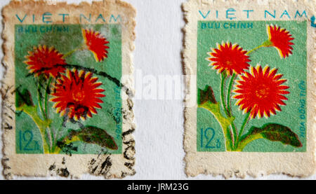 VIETNAM - circa 1973: un timbro stampato in Vietnam mostra Gerbera, circa 1973 Foto Stock